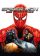 Cover-Artwork von Spider-Man: Web of Shadows